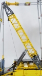 Grue treillis sur chenilles Liebherr LR 13000 #42146